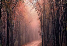 魅力足球，欧洲杯预选赛赛场花样频出