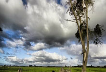 拜仁逆转成功，晋级前途一片光明