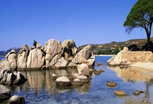 下午的足球比赛成为人们的热门话题